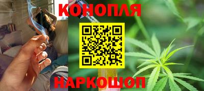 гашик Дубна