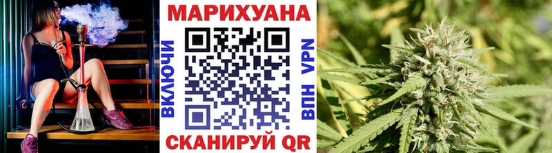 как найти   Курчалой  Шишки марихуана Ganja 